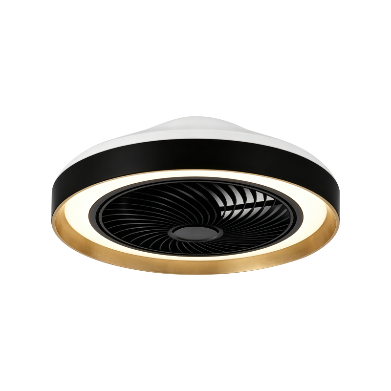 Flush Mount Ceiling Fan cum luce Flush Mount Ceiling Fan cum luce