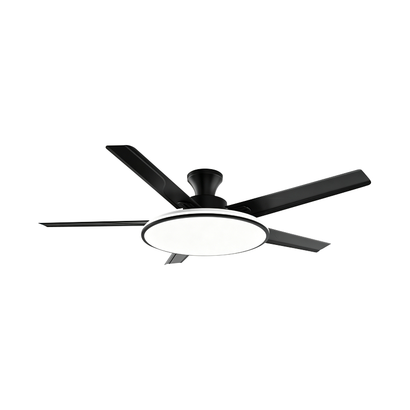 Conventional Fan Lamp