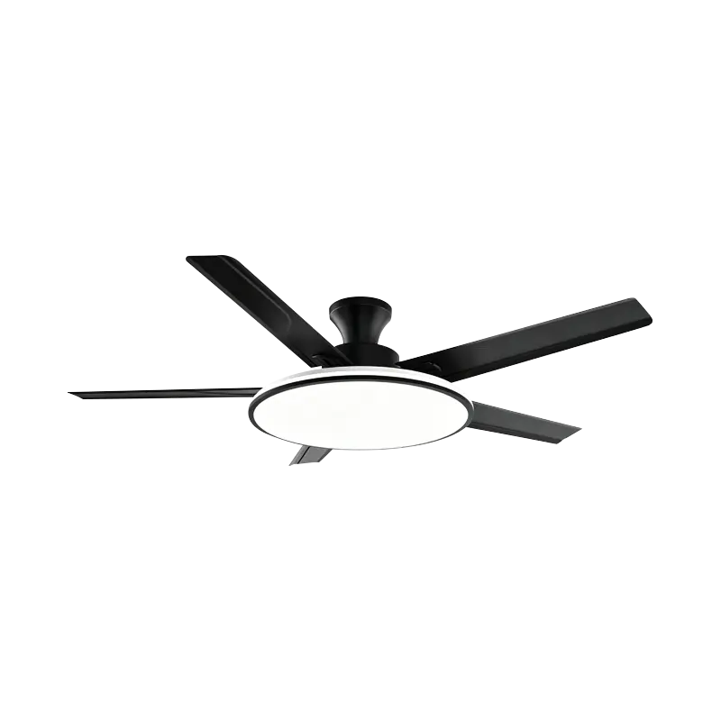 Conventional Fan Lamp