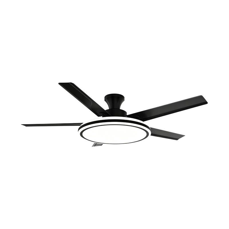 Conventional Fan Lamp