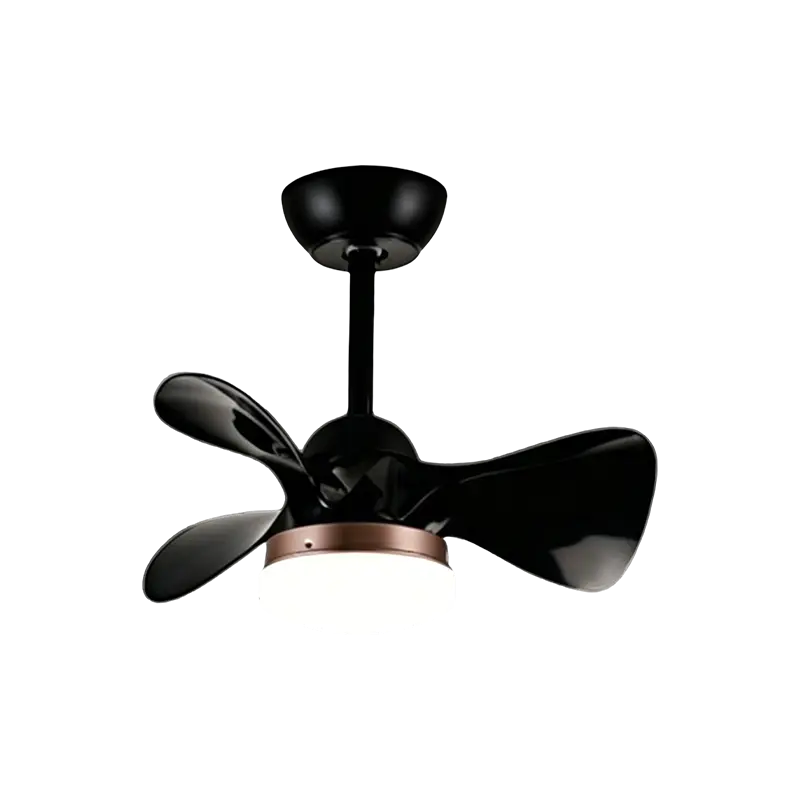 Mole ABS TECTUM Fan cum luce