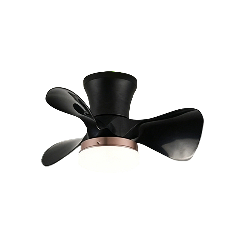 Mole ABS TECTUM Fan cum luce