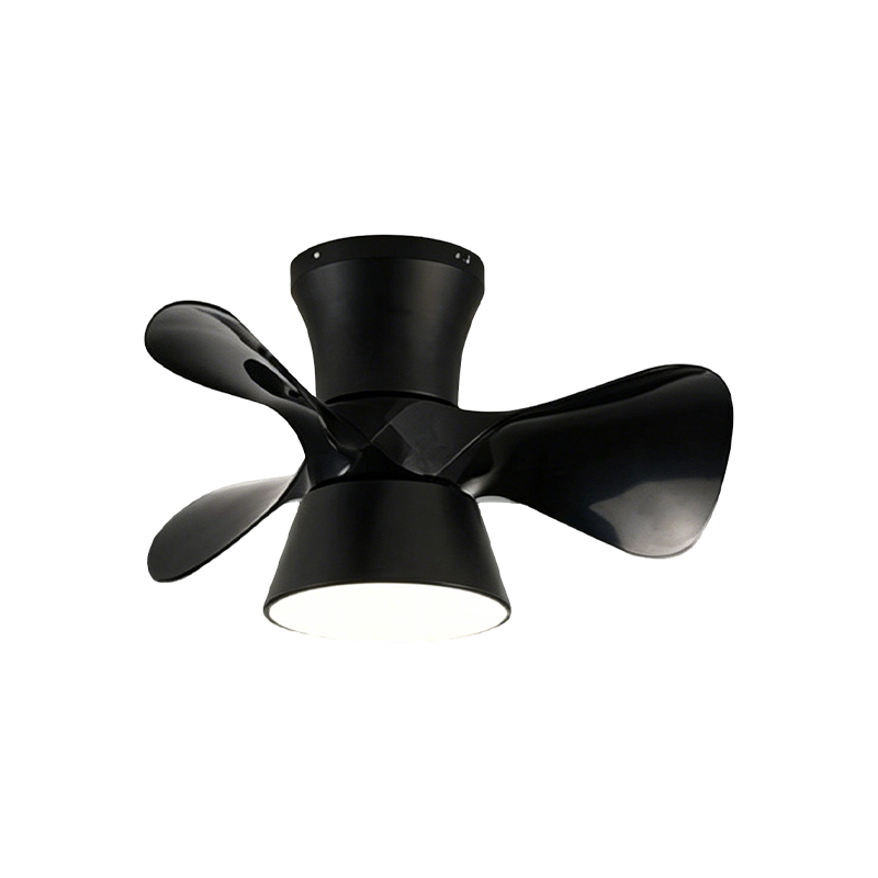 Mole ABS TECTUM Fan cum luce
