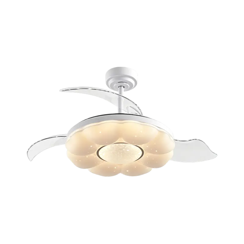 Invisible Fan Light: Complete Rector pro Moderni Domo Consolationis