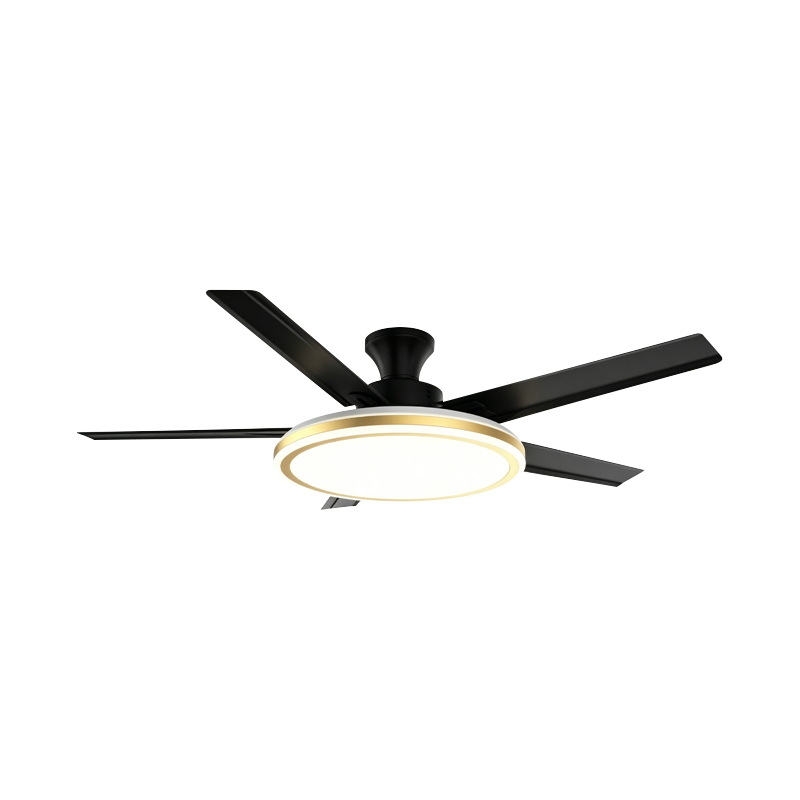 Conventional Fan Lamp