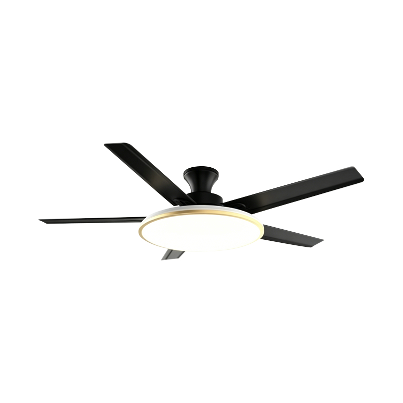 Conventional Fan Lamp
