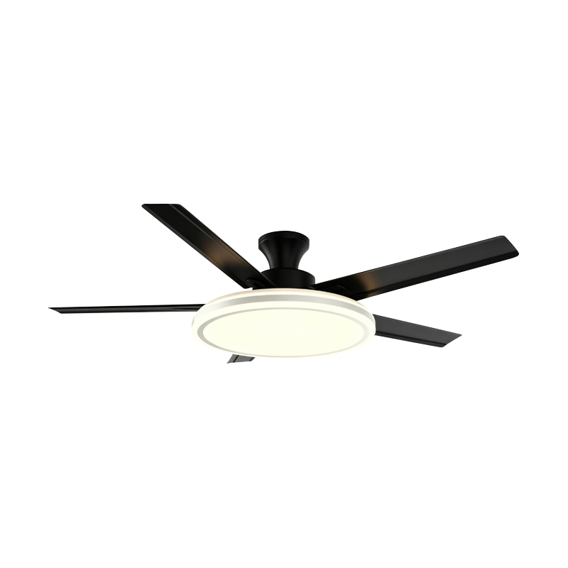 Conventional Fan Lamp