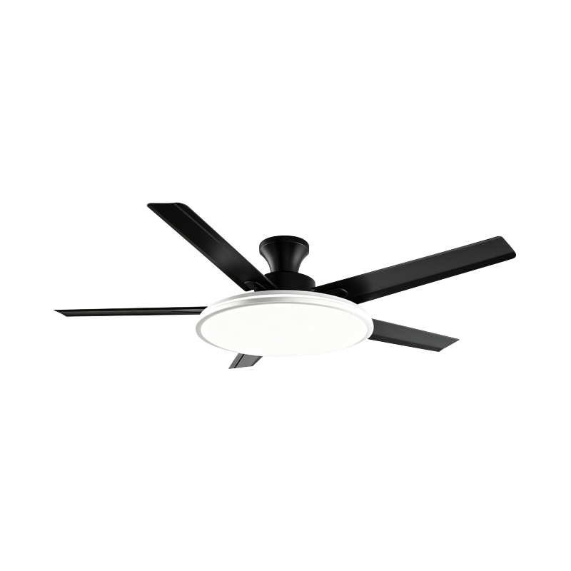 Conventional Fan Lamp