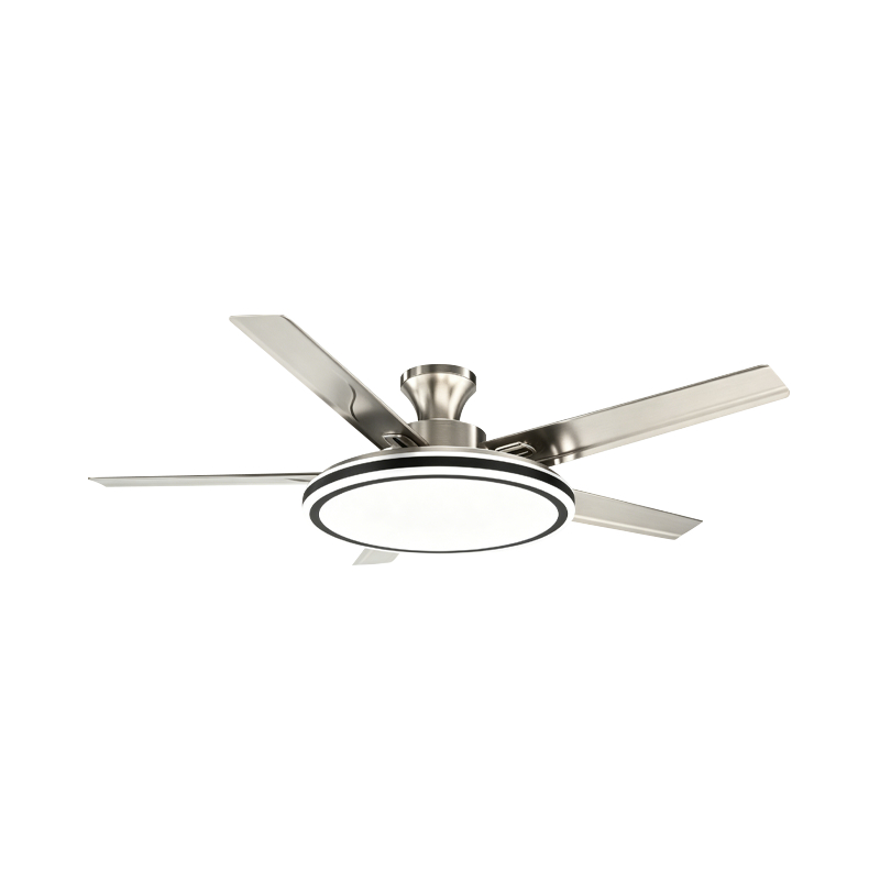 Conventional Fan Lamp