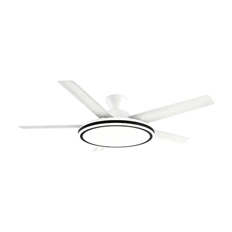Conventional Fan Lamp