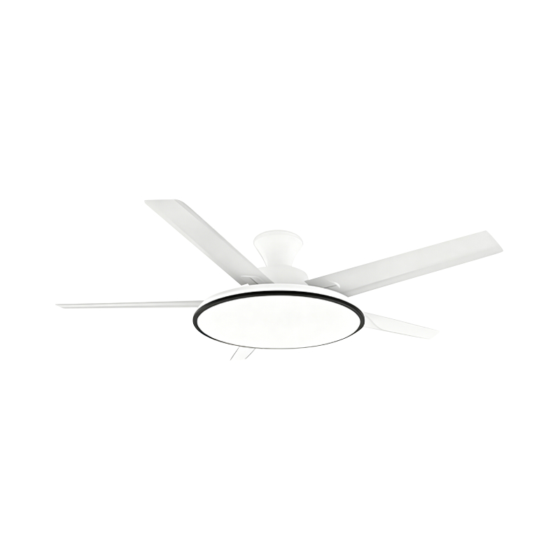 Conventional Fan Lamp