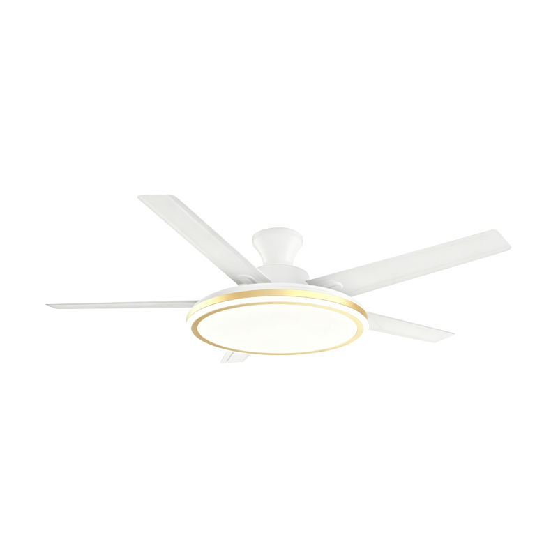 Conventional Fan Lamp