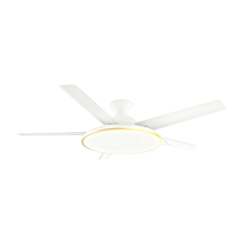 Conventional Fan Lamp