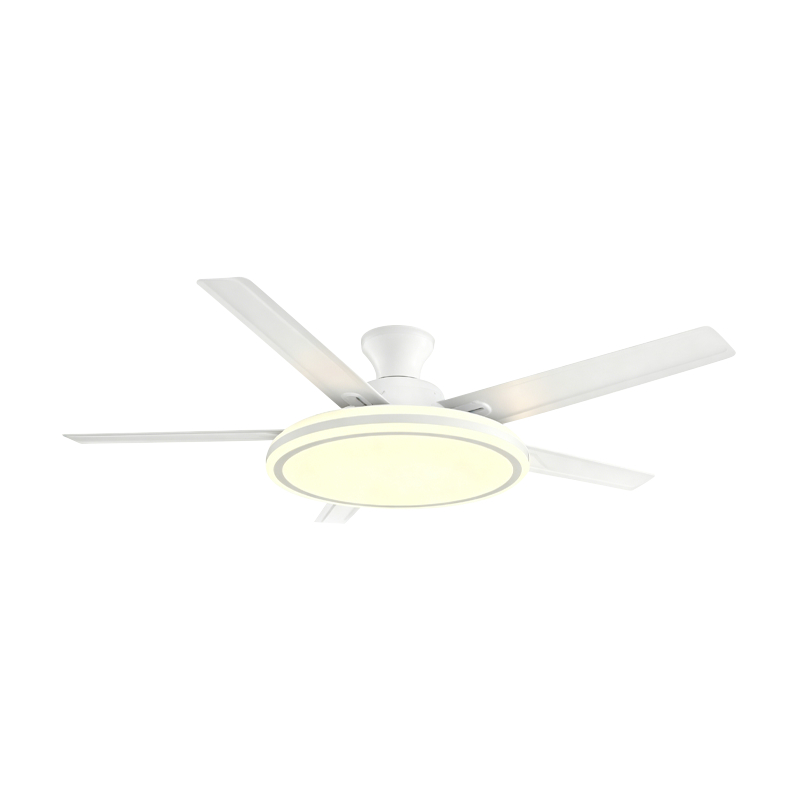 Conventional Fan Lamp