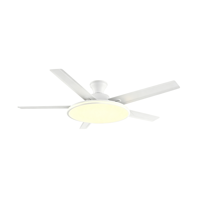 Conventional Fan Lamp