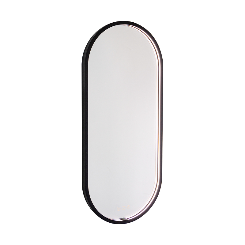 LED Smart Dimming Defogging Frosted Illuminated Bathroom Speculum
